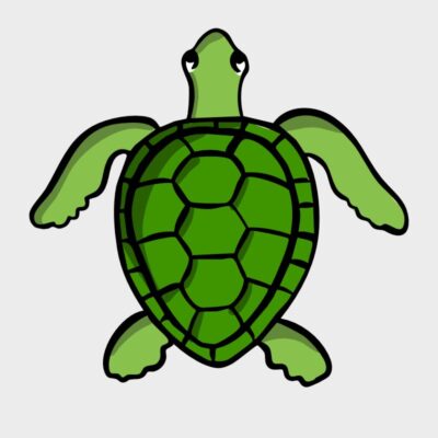 schildkröte